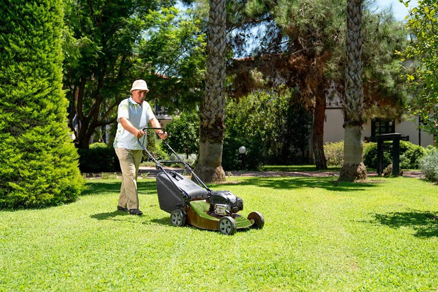 battery push lawn mower